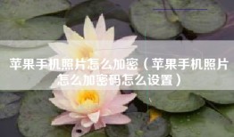 苹果手机照片怎么加密（苹果手机照片怎么加密码怎么设置）