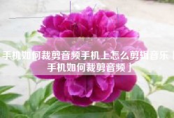 手机如何裁剪音频手机上怎么剪辑音乐「手机如何裁剪音频」