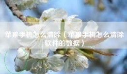 苹果手机怎么清除（苹果手机怎么清除软件的数据）