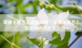 苹果手机怎么设置闹钟（苹果手机怎么设置闹钟自定义）