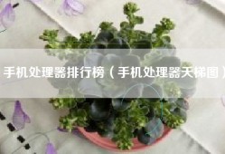 手机处理器排行榜（手机处理器天梯图）