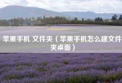 苹果手机 文件夹（苹果手机怎么建文件夹桌面）