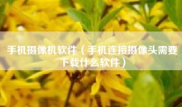 手机摄像机软件（手机连接摄像头需要下载什么软件）