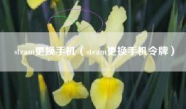 steam更换手机（steam更换手机令牌）