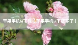 苹果手机bt下载（苹果手机bt下载不了）