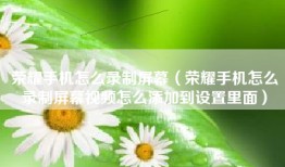 荣耀手机怎么录制屏幕（荣耀手机怎么录制屏幕视频怎么添加到设置里面）