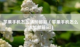 苹果手机怎么添加邮箱（苹果手机怎么添加邮箱163）