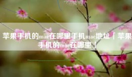 苹果手机的mac在哪里手机mac地址「苹果手机的mac在哪里」