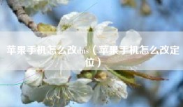 苹果手机怎么改dns（苹果手机怎么改定位）