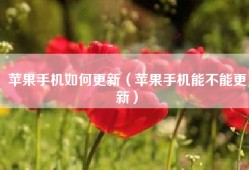 苹果手机如何更新（苹果手机能不能更新）