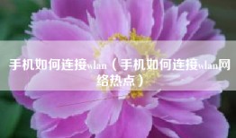 手机如何连接wlan（手机如何连接wlan网络热点）