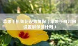 苹果手机如何设置屏保（苹果手机如何设置屏保倒计时）