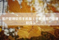 客户管理软件手机版（手机端客户管理软件）