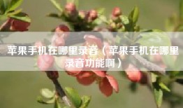 苹果手机在哪里录音（苹果手机在哪里录音功能啊）