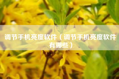 调节手机亮度软件（调节手机亮度软件有哪些）