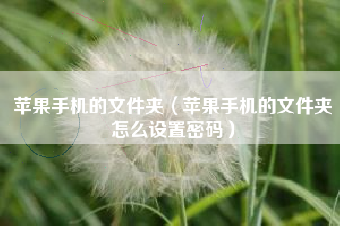 苹果手机的文件夹（苹果手机的文件夹怎么设置密码）